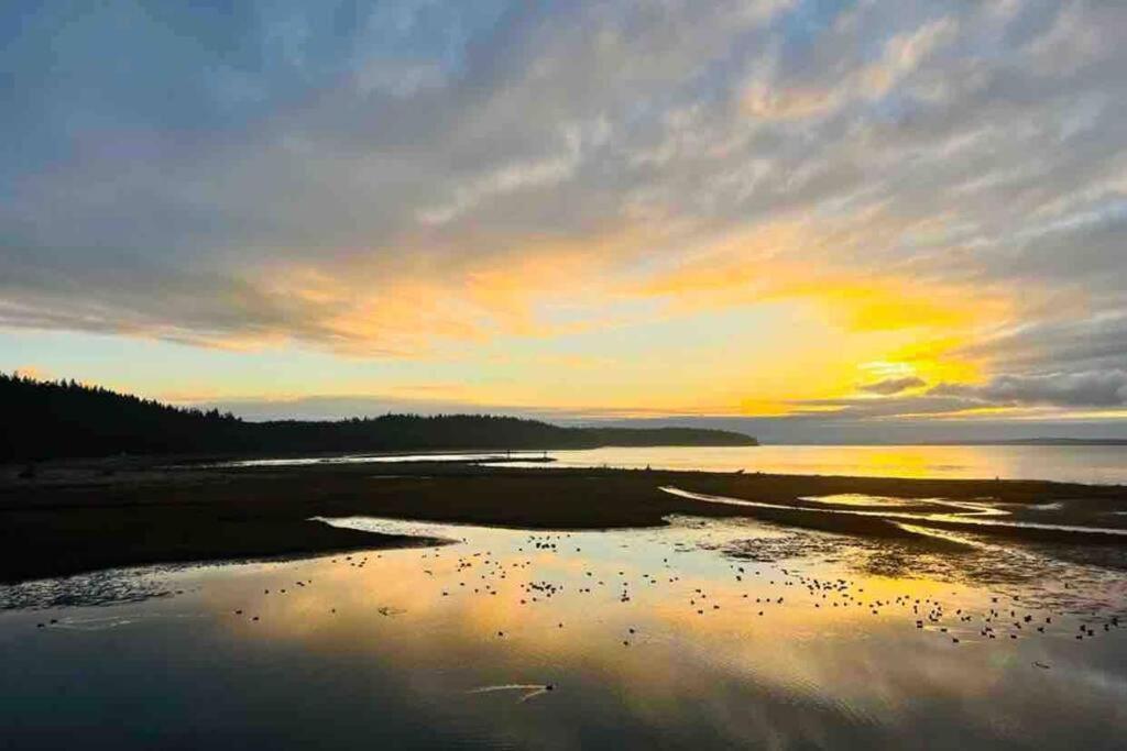 Oasis By The Sea Villa Port Hadlock-Irondale Bagian luar foto